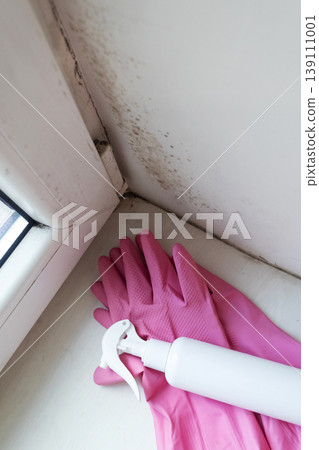 Person in pink gloves cleaning mold on window sill and walls using antifungal spray. Removing toxic black mold and mildew from window frame and plaster. Home maintenance and hygiene. Person in pink gloves cleaning mold on window sill and walls using antifungal spray. Removing toxic black mold and mildew from window frame and plaster. Home maintenance and hygiene. 139111001