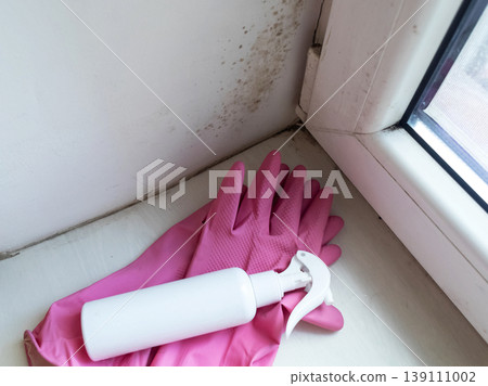 Person in pink gloves cleaning mold on window sill and walls using antifungal spray. Removing toxic black mold and mildew from window frame and plaster. Home maintenance and hygiene. Person in pink gloves cleaning mold on window sill and walls using antifungal spray. Removing toxic black mold and mildew from window frame and plaster. Home maintenance and hygiene. 139111002