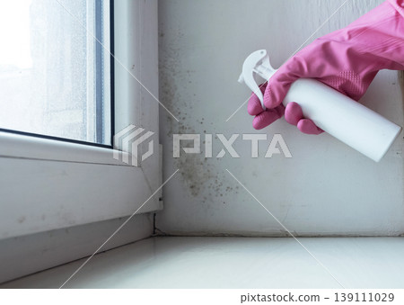 Person in pink gloves cleaning mold on window sill and walls using antifungal spray. Removing toxic black mold and mildew from window frame and plaster. Home maintenance and hygiene. Person in pink gloves cleaning mold on window sill and walls using antifungal spray. Removing toxic black mold and mildew from window frame and plaster. Home maintenance and hygiene. 139111029