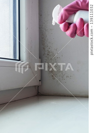 Person in pink gloves cleaning mold on window sill and walls using antifungal spray. Removing toxic black mold and mildew from window frame and plaster. Home maintenance and hygiene. Person in pink gloves cleaning mold on window sill and walls using antifungal spray. Removing toxic black mold and mildew from window frame and plaster. Home maintenance and hygiene. 139111032