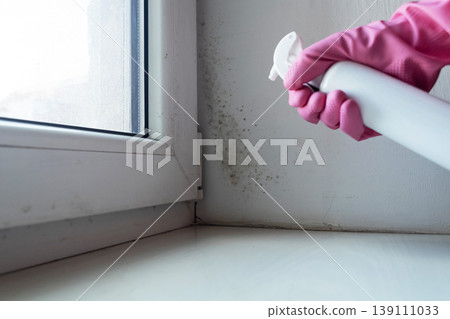 Person in pink gloves cleaning mold on window sill and walls using antifungal spray. Removing toxic black mold and mildew from window frame and plaster. Home maintenance and hygiene. 139111033