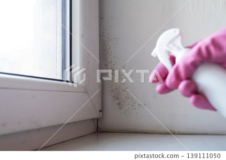 Person in pink gloves cleaning mold on window sill and walls using antifungal spray. Removing toxic black mold and mildew from window frame and plaster. Home maintenance and hygiene. Person in pink gloves cleaning mold on window sill and walls using antifungal spray. Removing toxic black mold and mildew from window frame and plaster. Home maintenance and hygiene. 139111050