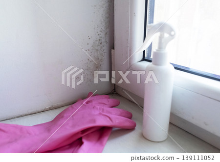 Person in pink gloves cleaning mold on window sill and walls using antifungal spray. Removing toxic black mold and mildew from window frame and plaster. Home maintenance and hygiene. Person in pink gloves cleaning mold on window sill and walls using antifungal spray. Removing toxic black mold and mildew from window frame and plaster. Home maintenance and hygiene. 139111052