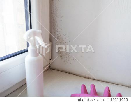 Person in pink gloves cleaning mold on window sill and walls using antifungal spray. Removing toxic black mold and mildew from window frame and plaster. Home maintenance and hygiene. Person in pink gloves cleaning mold on window sill and walls using antifungal spray. Removing toxic black mold and mildew from window frame and plaster. Home maintenance and hygiene. 139111053