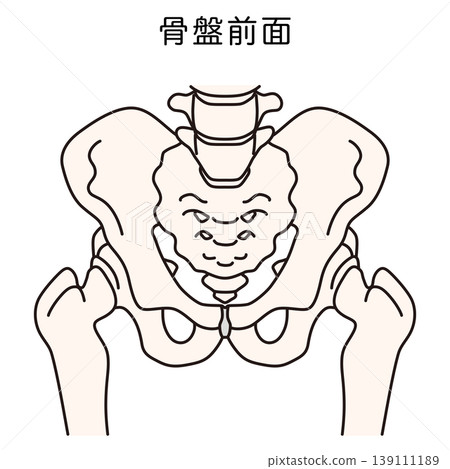Front of the pelvis 139111189