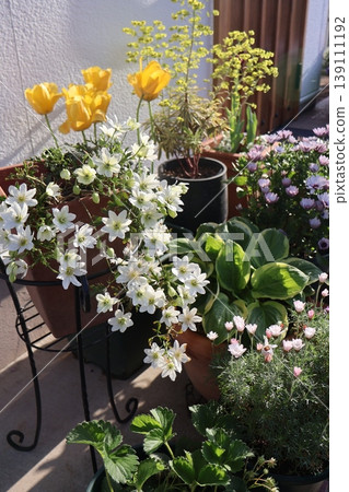 Flower pots in front of the entrance 139111192