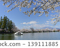 Suzaka City Wolongong公園的櫻花 139111885