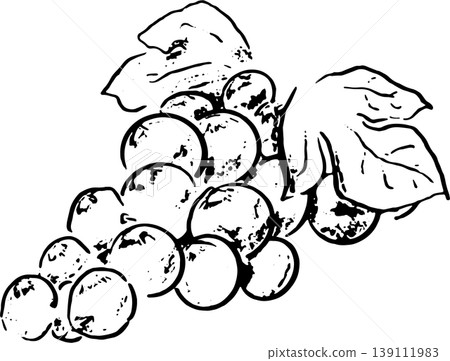 葡萄的簡筆畫風格插圖 葡萄的簡筆畫風格插圖 139111983