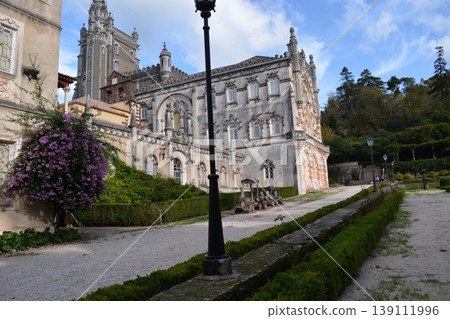 Blooming bougainvillea and vegetation in the park in front of the Busaco Palace in Portugal Coimbra region. Themes include travel, cultural heritage, and natural beauty. Blooming bougainvillea and vegetation in the park in front of the Busaco Palace in Portugal Coimbra region. Themes include travel, cultural heritage, and natural beauty. 139111996