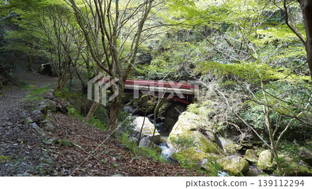 大瀧谷,豐田市 大瀧谷,豐田市 139112294