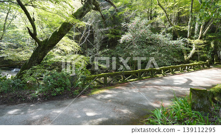 Otaki Valley, Toyota City Otaki Valley, Toyota City 139112295