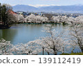 Suzaka City Wolongong公園的櫻花 139112419