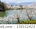 Suzaka City Wolongong公園的櫻花 139112422