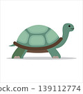 turtle icon on white background 139112774
