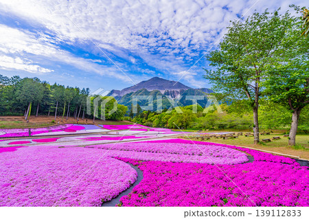 (埼玉縣)秩父市:羊山公園、芝櫻之丘 (埼玉縣)秩父市:羊山公園、芝櫻之丘 139112833