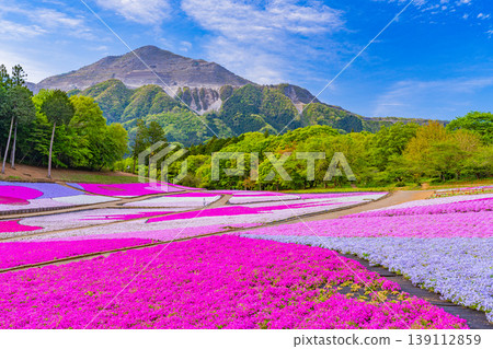 (Saitama Prefecture) Chichibu City: Hitsujiyama Park and Shibazakura Hill (Saitama Prefecture) Chichibu City: Hitsujiyama Park and Shibazakura Hill 139112859