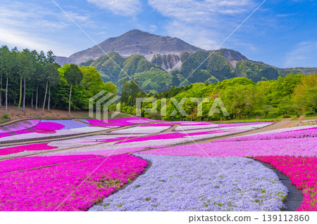 (埼玉縣)秩父市:羊山公園、芝櫻之丘 (埼玉縣)秩父市:羊山公園、芝櫻之丘 139112860