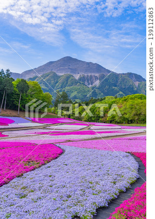 （埼玉縣）秩父市：羊山公園、芝櫻之丘 139112863