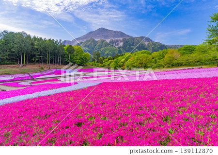 (埼玉縣)秩父市:羊山公園、芝櫻之丘 (埼玉縣)秩父市:羊山公園、芝櫻之丘 139112870