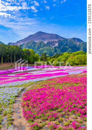 (埼玉縣)秩父市:羊山公園、芝櫻之丘 (埼玉縣)秩父市:羊山公園、芝櫻之丘 139112878
