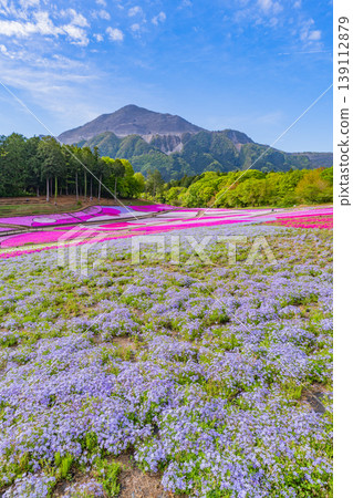 (埼玉縣)秩父市:羊山公園、芝櫻之丘 (埼玉縣)秩父市:羊山公園、芝櫻之丘 139112879