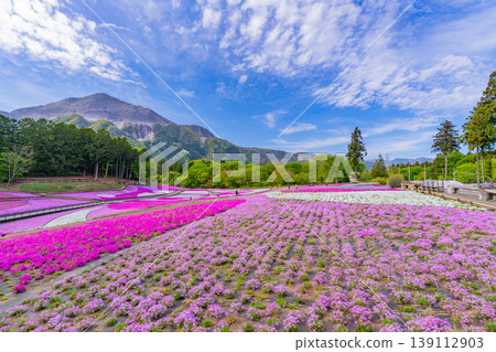 (埼玉縣)秩父市:羊山公園、芝櫻之丘 (埼玉縣)秩父市:羊山公園、芝櫻之丘 139112903