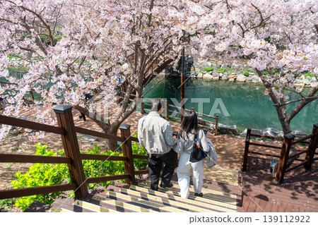 Couple at Dongsam Sea Stream to cherry blossom tunnel, Busan 139112922