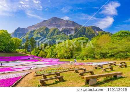 (埼玉縣)秩父市:羊山公園、芝櫻之丘 (埼玉縣)秩父市:羊山公園、芝櫻之丘 139112926