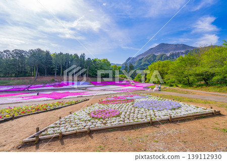 (埼玉縣)秩父市:羊山公園、芝櫻之丘 (埼玉縣)秩父市:羊山公園、芝櫻之丘 139112930