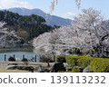 Suzaka City Wolongong公園的櫻花 139113232
