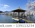 Suzaka City Wolongong公園的櫻花 139113234