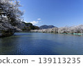 Suzaka City Wolongong公園的櫻花 139113235