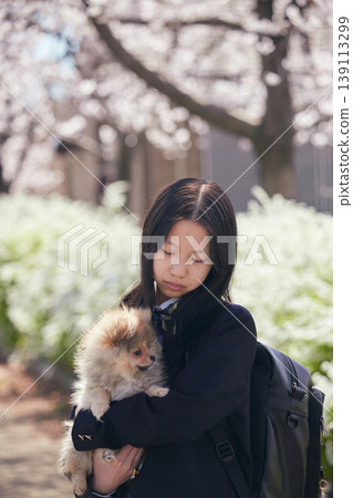 春天,櫻花盛開,一位可愛的國中女生在公園裡和一隻博美幼犬玩耍。 春天,櫻花盛開,一位可愛的國中女生在公園裡和一隻博美幼犬玩耍。 139113299