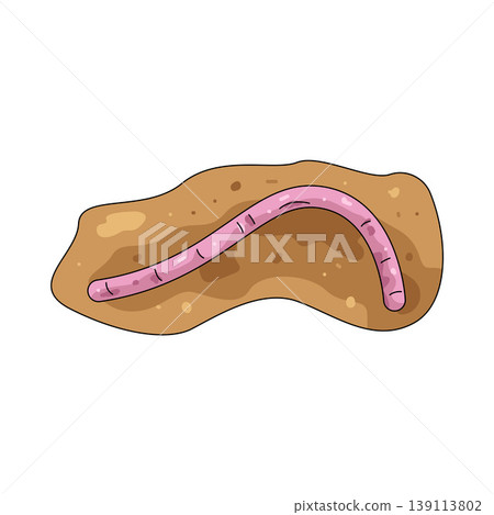 Illustration of Earthworm Illustration of Earthworm 139113802