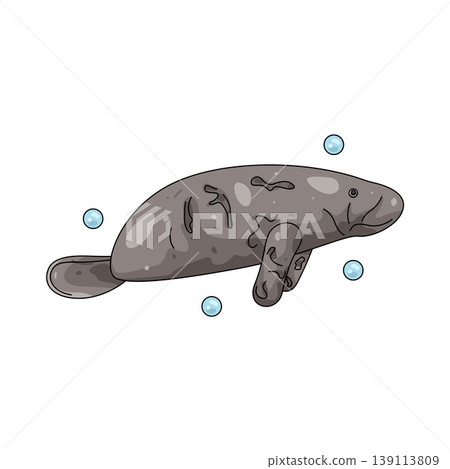 Illustration of Manatee Illustration of Manatee 139113809