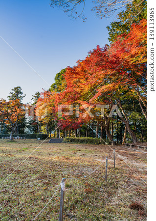 View of the ruins of Futamata Castle in Hamamatsu City (Shizuoka Prefecture) 139113965