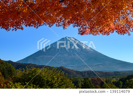 從西湖眺望秋葉和富士山 從西湖眺望秋葉和富士山 139114079