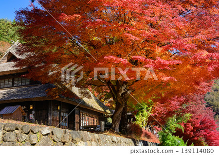 西湖祖師之鄉念場的秋景 西湖祖師之鄉念場的秋景 139114080