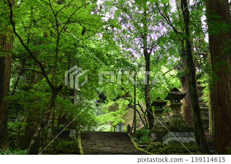 大雄山西成寺參道 139114615