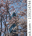 The Statue of Liberty glimpsed amidst the cherry blossoms 139114744