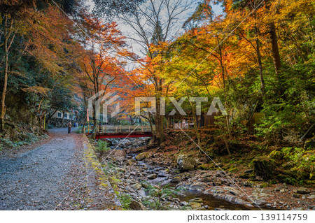 Scenery of Kuragari Valley in Okazaki City (Aichi Prefecture) Scenery of Kuragari Valley in Okazaki City (Aichi Prefecture) 139114759