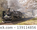 Cherry blossom trees and a C57 steam locomotive 139114856