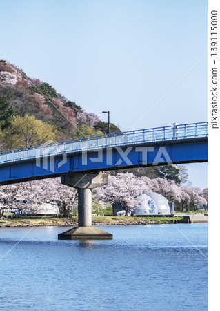 Spring scenery of Aoshima Lake 139115000