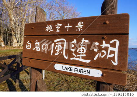 根室十大場景·天鵝的鳳凰湖 根室十大場景·天鵝的鳳凰湖 139115010
