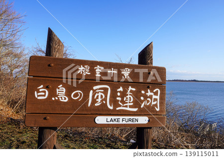 根室十大場景·天鵝的鳳凰湖 根室十大場景·天鵝的鳳凰湖 139115011