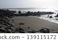 大西洋的岩石海岸 139115172
