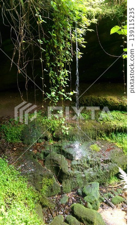 Phone photo of a tiny waterfall in a forest in Alsace. Peaceful nature scene showing flowing water, woodland greenery, and calm outdoor atmosphere. Phone photo of a tiny waterfall in a forest in Alsace. Peaceful nature scene showing flowing water, woodland greenery, and calm outdoor atmosphere. 139115235