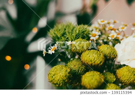 Macro shot of fresh green chrysanthemums and daisies bouquet. Soft cinematic lighting with bokeh, spring botanical aesthetic. 139115394