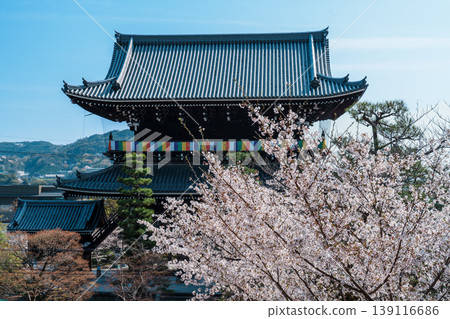 Komyoji寺的京都Kimiki春天 Komyoji寺的京都Kimiki春天 139116686