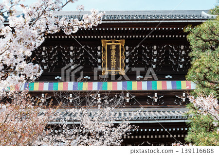 Komyoji寺的京都Kimiki春天 Komyoji寺的京都Kimiki春天 139116688